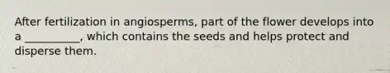 After fertilization in angiosperms, part of the flower develops into a __________, which contains the seeds and helps protect and disperse them.