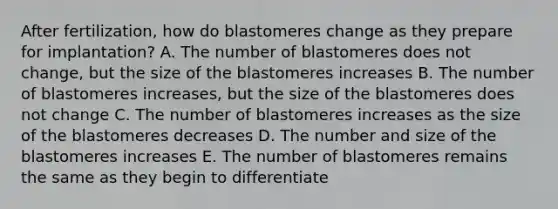 After fertilization, how do blastomeres change as they prepare for implantation? A. The number of blastomeres does not change, but the size of the blastomeres increases B. The number of blastomeres increases, but the size of the blastomeres does not change C. The number of blastomeres increases as the size of the blastomeres decreases D. The number and size of the blastomeres increases E. The number of blastomeres remains the same as they begin to differentiate