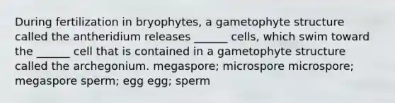 During fertilization in bryophytes, a gametophyte structure called the antheridium releases ______ cells, which swim toward the ______ cell that is contained in a gametophyte structure called the archegonium. megaspore; microspore microspore; megaspore sperm; egg egg; sperm