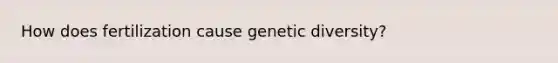 How does fertilization cause genetic diversity?