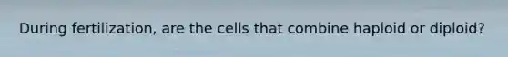 During fertilization, are the cells that combine haploid or diploid?