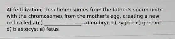 At fertilization, the chromosomes from the father's sperm unite with the chromosomes from the mother's egg, creating a new cell called a(n) _______________. a) embryo b) zygote c) genome d) blastocyst e) fetus