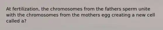 At fertilization, the chromosomes from the fathers sperm unite with the chromosomes from the mothers egg creating a new cell called a?