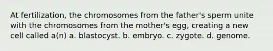 At fertilization, the chromosomes from the father's sperm unite with the chromosomes from the mother's egg, creating a new cell called a(n) a. blastocyst. b. embryo. c. zygote. d. genome.