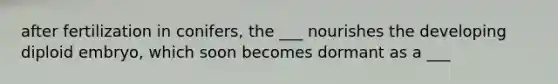 after fertilization in conifers, the ___ nourishes the developing diploid embryo, which soon becomes dormant as a ___