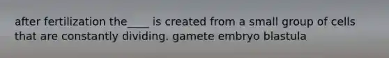after fertilization the____ is created from a small group of cells that are constantly dividing. gamete embryo blastula