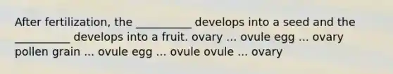 After fertilization, the __________ develops into a seed and the __________ develops into a fruit. ovary ... ovule egg ... ovary pollen grain ... ovule egg ... ovule ovule ... ovary