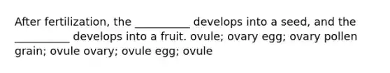 After fertilization, the __________ develops into a seed, and the __________ develops into a fruit. ovule; ovary egg; ovary pollen grain; ovule ovary; ovule egg; ovule