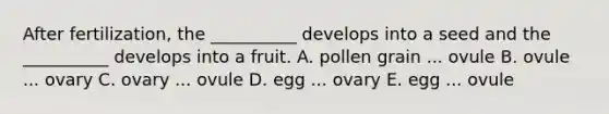 After fertilization, the __________ develops into a seed and the __________ develops into a fruit. A. pollen grain ... ovule B. ovule ... ovary C. ovary ... ovule D. egg ... ovary E. egg ... ovule