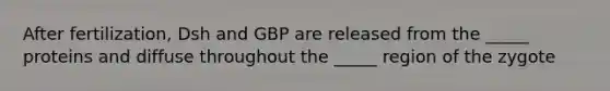 After fertilization, Dsh and GBP are released from the _____ proteins and diffuse throughout the _____ region of the zygote