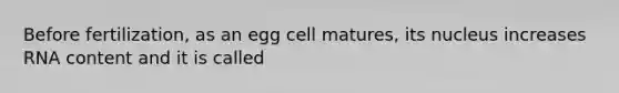 Before fertilization, as an egg cell matures, its nucleus increases RNA content and it is called