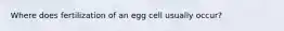 Where does fertilization of an egg cell usually occur?