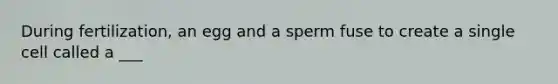 During fertilization, an egg and a sperm fuse to create a single cell called a ___