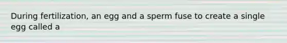 During fertilization, an egg and a sperm fuse to create a single egg called a