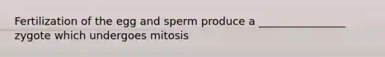 Fertilization of the egg and sperm produce a ________________ zygote which undergoes mitosis