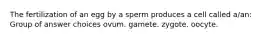 The fertilization of an egg by a sperm produces a cell called a/an: Group of answer choices ovum. gamete. zygote. oocyte.