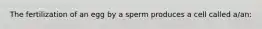 The fertilization of an egg by a sperm produces a cell called a/an: