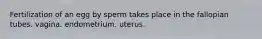 Fertilization of an egg by sperm takes place in the fallopian tubes. vagina. endometrium. uterus.