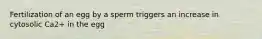 Fertilization of an egg by a sperm triggers an increase in cytosolic Ca2+ in the egg