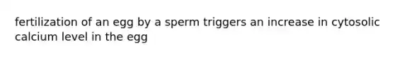 fertilization of an egg by a sperm triggers an increase in cytosolic calcium level in the egg