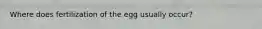 Where does fertilization of the egg usually occur?