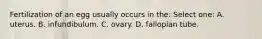 Fertilization of an egg usually occurs in the: Select one: A. uterus. B. infundibulum. C. ovary. D. fallopian tube.