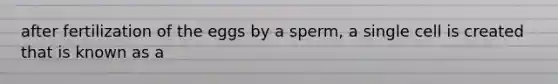 after fertilization of the eggs by a sperm, a single cell is created that is known as a