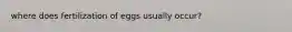 where does fertilization of eggs usually occur?