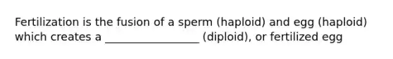 Fertilization is the fusion of a sperm (haploid) and egg (haploid) which creates a _________________ (diploid), or fertilized egg