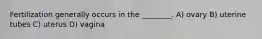 Fertilization generally occurs in the ________. A) ovary B) uterine tubes C) uterus D) vagina