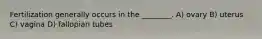 Fertilization generally occurs in the ________. A) ovary B) uterus C) vagina D) fallopian tubes