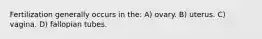 Fertilization generally occurs in the: A) ovary. B) uterus. C) vagina. D) fallopian tubes.