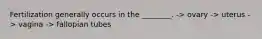 Fertilization generally occurs in the ________. -> ovary -> uterus -> vagina -> fallopian tubes