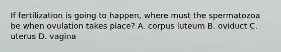 If fertilization is going to happen, where must the spermatozoa be when ovulation takes place? A. corpus luteum B. oviduct C. uterus D. vagina