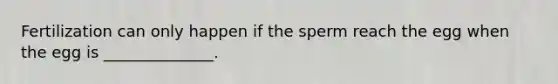 Fertilization can only happen if the sperm reach the egg when the egg is ______________.