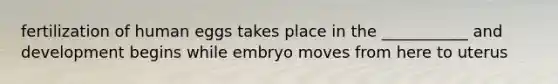 fertilization of human eggs takes place in the ___________ and development begins while embryo moves from here to uterus