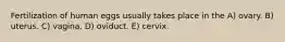 Fertilization of human eggs usually takes place in the A) ovary. B) uterus. C) vagina. D) oviduct. E) cervix.