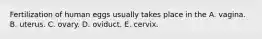 Fertilization of human eggs usually takes place in the A. vagina. B. uterus. C. ovary. D. oviduct. E. cervix.