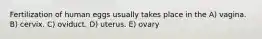 Fertilization of human eggs usually takes place in the A) vagina. B) cervix. C) oviduct. D) uterus. E) ovary