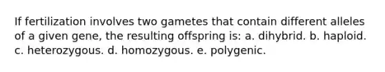 If fertilization involves two gametes that contain different alleles of a given gene, the resulting offspring is: a. dihybrid. b. haploid. c. heterozygous. d. homozygous. e. polygenic.