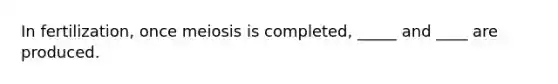 In fertilization, once meiosis is completed, _____ and ____ are produced.
