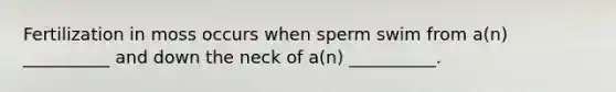 Fertilization in moss occurs when sperm swim from a(n) __________ and down the neck of a(n) __________.