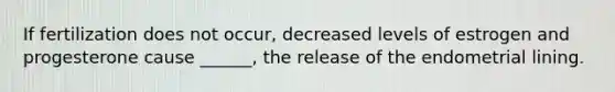 If fertilization does not occur, decreased levels of estrogen and progesterone cause ______, the release of the endometrial lining.