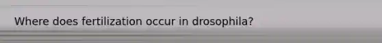 Where does fertilization occur in drosophila?