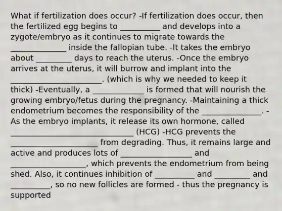 What if fertilization does occur? -If fertilization does occur, then the fertilized egg begins to __________ and develops into a zygote/embryo as it continues to migrate towards the ______________ inside the fallopian tube. -It takes the embryo about _________ days to reach the uterus. -Once the embryo arrives at the uterus, it will burrow and implant into the _______________________. (which is why we needed to keep it thick) -Eventually, a _____________ is formed that will nourish the growing embryo/fetus during the pregnancy. -Maintaining a thick endometrium becomes the responsibility of the _______________. -As the embryo implants, it release its own hormone, called _______________________________ (HCG) -HCG prevents the ______________________ from degrading. Thus, it remains large and active and produces lots of __________________ and ___________________, which prevents the endometrium from being shed. Also, it continues inhibition of __________ and _________ and __________, so no new follicles are formed - thus the pregnancy is supported