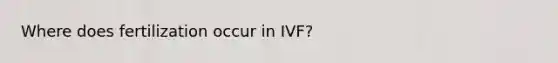 Where does fertilization occur in IVF?