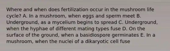 Where and when does fertilization occur in the mushroom life cycle? A. In a mushroom, when eggs and sperm meet B. Underground, as a mycelium begins to spread C. Underground, when the hyphae of different mating types fuse D. On the surface of the ground, when a basidiospore germinates E. In a mushroom, when the nuclei of a dikaryotic cell fuse