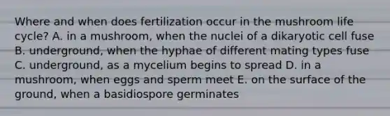 Where and when does fertilization occur in the mushroom life cycle? A. in a mushroom, when the nuclei of a dikaryotic cell fuse B. underground, when the hyphae of different mating types fuse C. underground, as a mycelium begins to spread D. in a mushroom, when eggs and sperm meet E. on the surface of the ground, when a basidiospore germinates