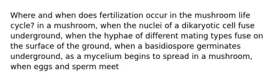 Where and when does fertilization occur in the mushroom life cycle? in a mushroom, when the nuclei of a dikaryotic cell fuse underground, when the hyphae of different mating types fuse on the surface of the ground, when a basidiospore germinates underground, as a mycelium begins to spread in a mushroom, when eggs and sperm meet