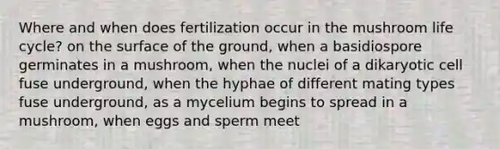 Where and when does fertilization occur in the mushroom life cycle? on the surface of the ground, when a basidiospore germinates in a mushroom, when the nuclei of a dikaryotic cell fuse underground, when the hyphae of different mating types fuse underground, as a mycelium begins to spread in a mushroom, when eggs and sperm meet